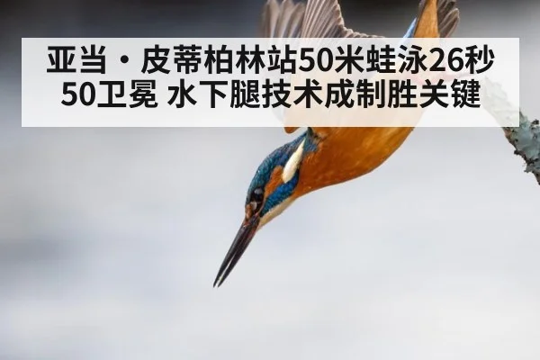 亚当·皮蒂柏林站50米蛙泳26秒50卫冕 水下腿技术成制胜关键