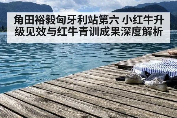角田裕毅匈牙利站第六 小红牛升级见效与红牛青训成果深度解析